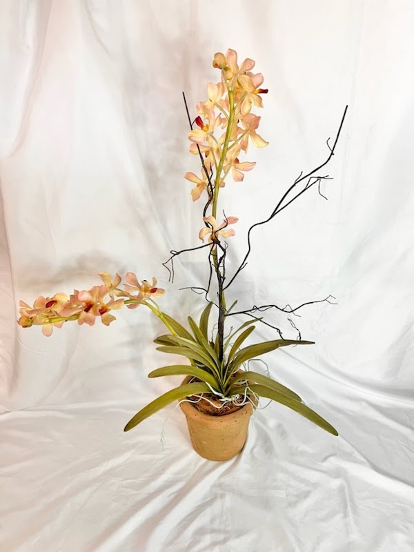 Orchid Floral Arrangement