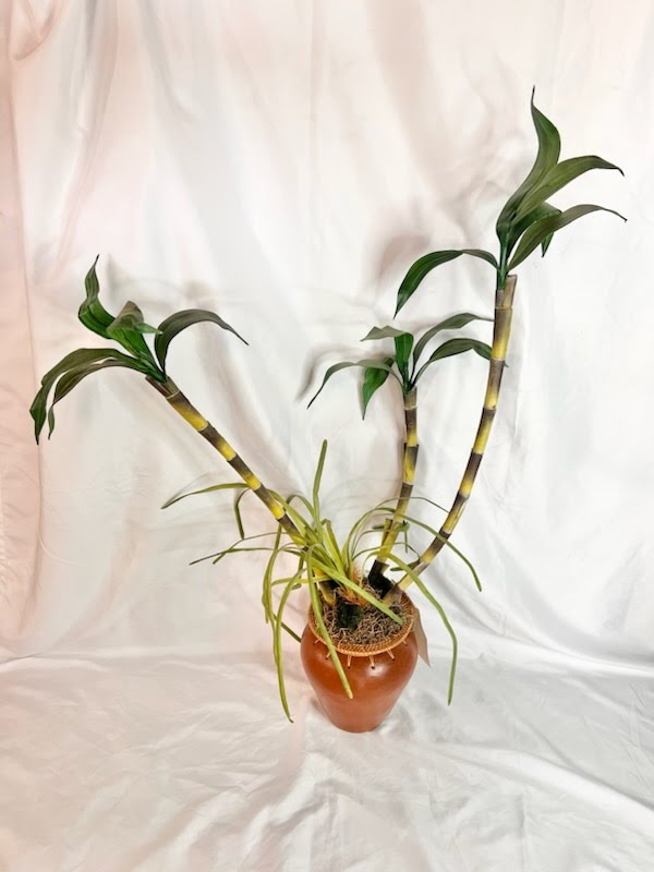 Cymbidium Floral Arrangement