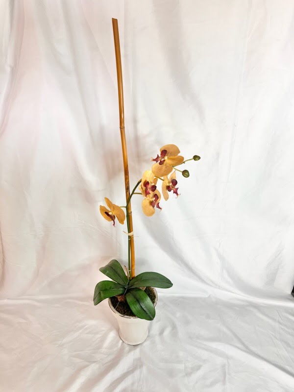 Pink Orchid Floral Arrangement