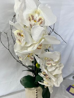 Floral Arrangement, Ceramic Vase