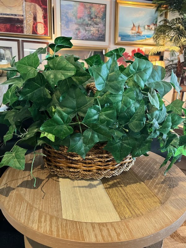 Weaved Basket with Lush Green Plant