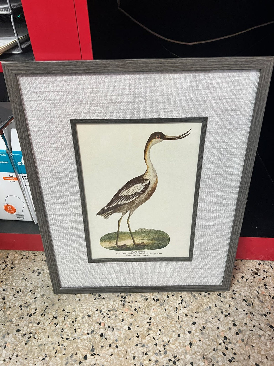 Grey Frame Bird Print